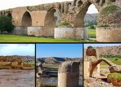 مرهمی بر دل شکسته مادر پل های تاریخی، تن خسته کشکان جان می گیرد