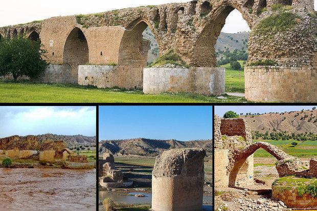 مرهمی بر دل شکسته مادر پل های تاریخی، تن خسته کشکان جان می گیرد