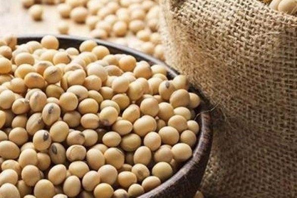 سویا و کاهش ریسک شکستگی استخوان در بازماندگان سرطان سینه