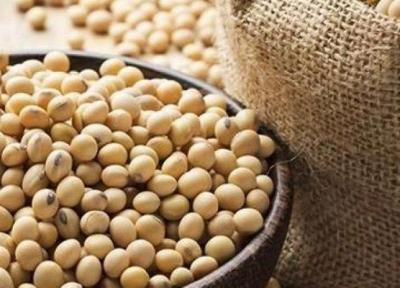سویا و کاهش ریسک شکستگی استخوان در بازماندگان سرطان سینه